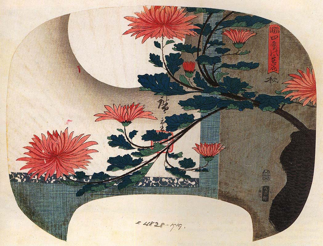 Chrysanthemums